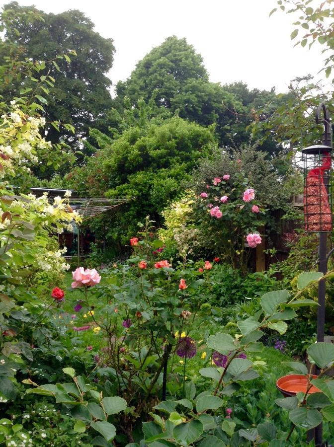 Hyacinth Bed & Breakfast เวลลิงตัน ภายนอก รูปภาพ