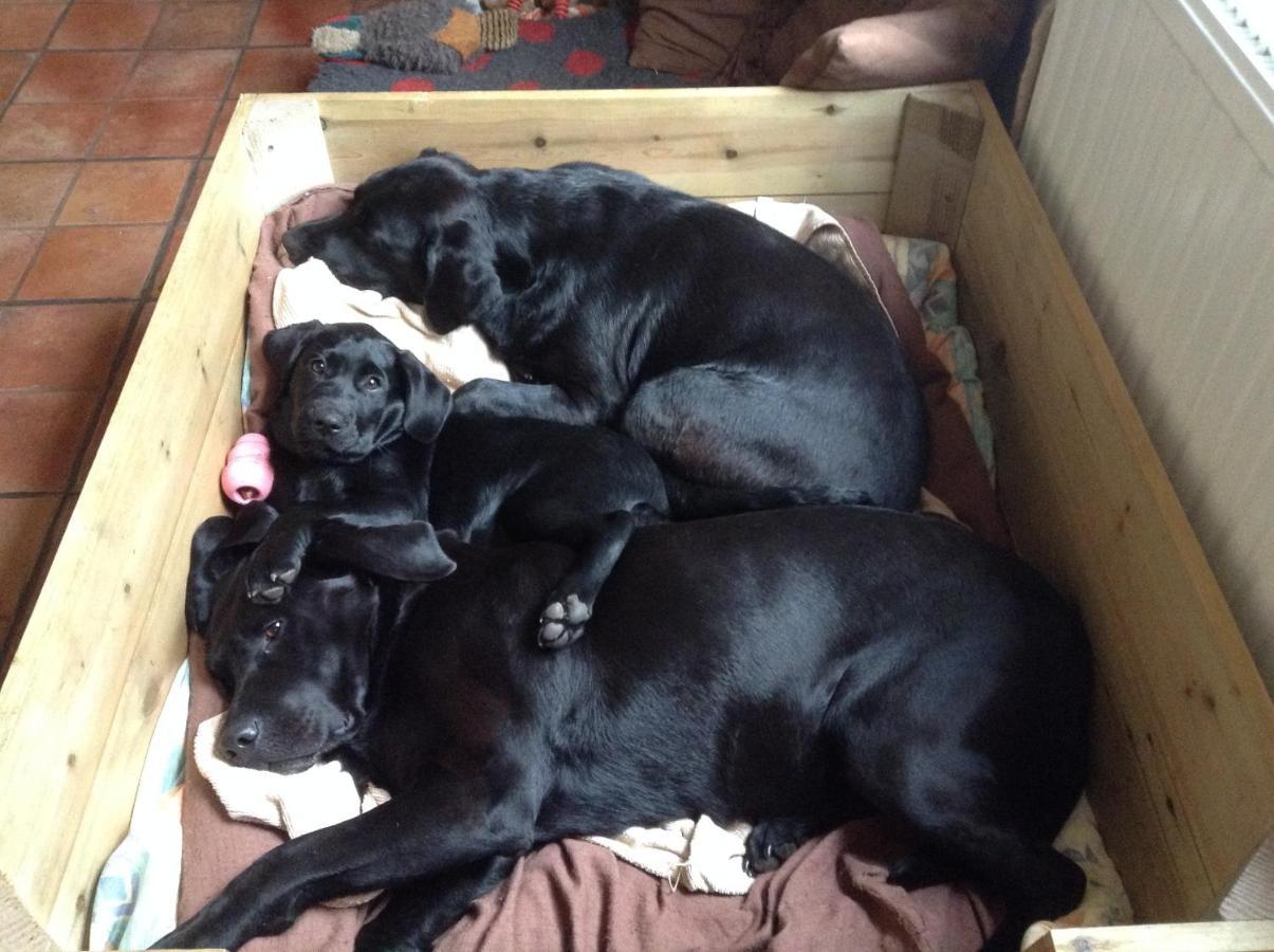 Hyacinth Bed & Breakfast เวลลิงตัน ภายนอก รูปภาพ