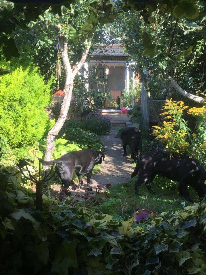 Hyacinth Bed & Breakfast เวลลิงตัน ภายนอก รูปภาพ